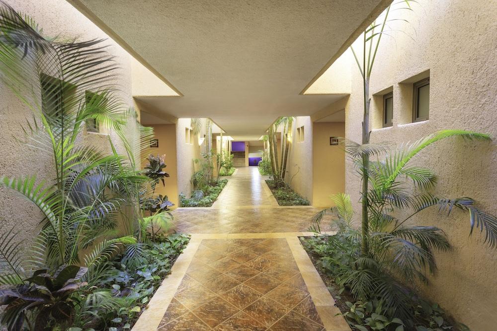 Hotel Los Patios Cabo San Lucas Extérieur photo